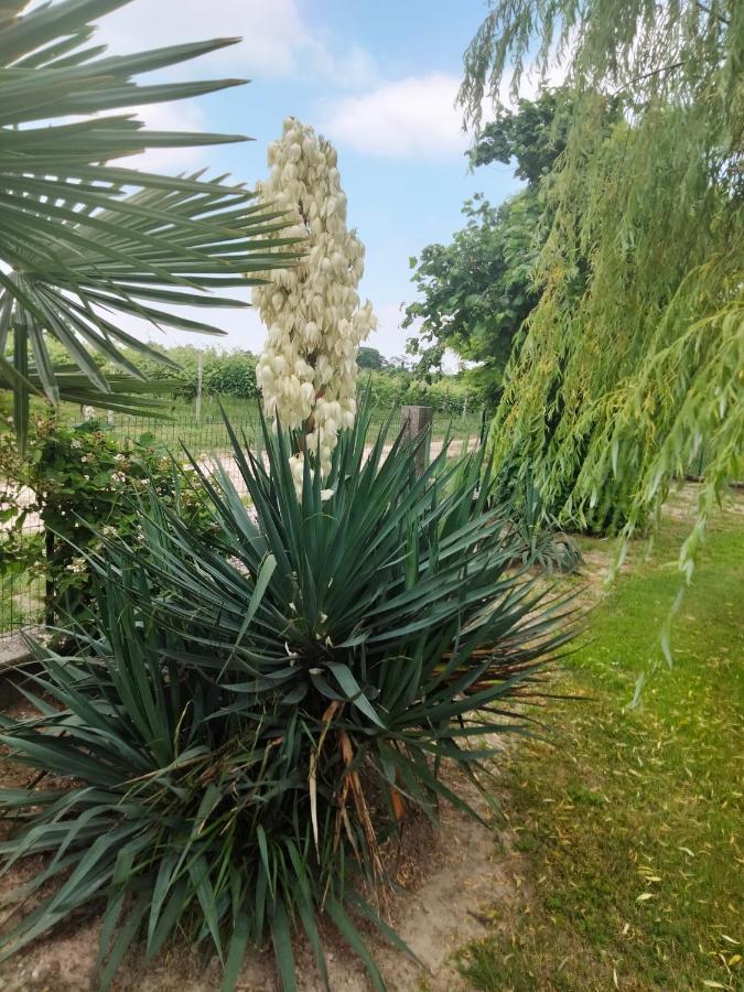 Antico Borgo Leone Bed & Breakfast Rauscedo Екстериор снимка